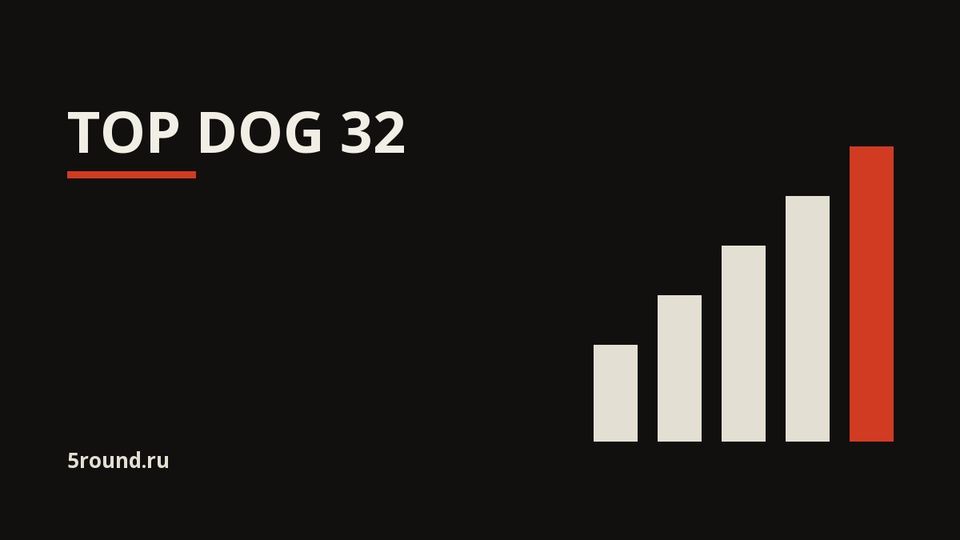 В Саратове определился новый чемпион кулачной лиги Top Dog 32