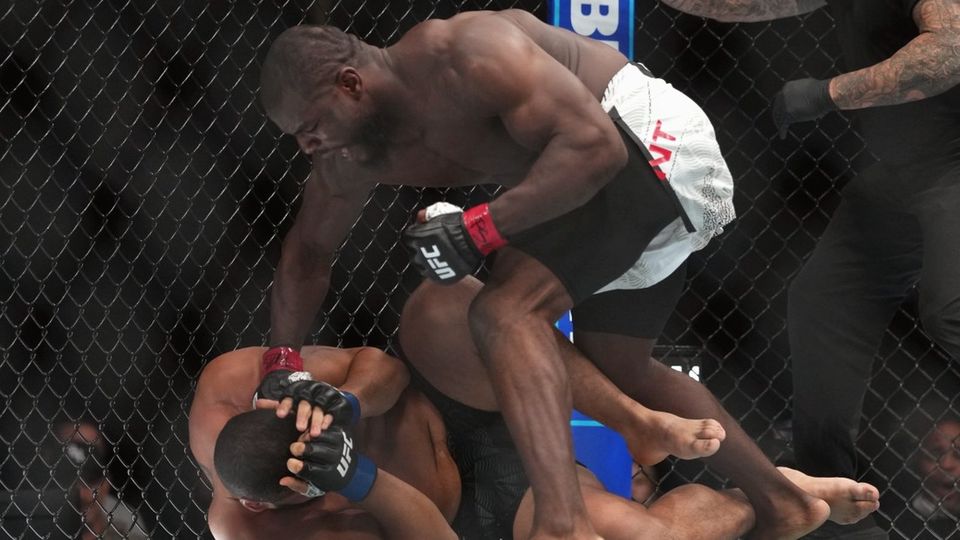 UFC 332: Энтони Уинт нокаутировал Лукаса Арманда за 23 секунды и вызвал на бой Шона Шарафа