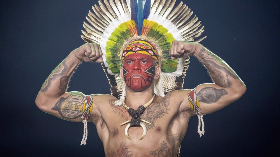 Павлович и Перейра встретятся в соглавном бою на турнире UFC 335